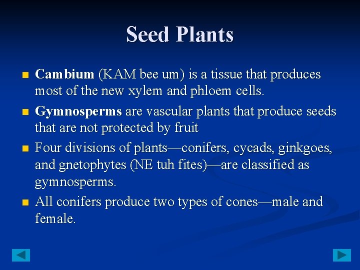 Seed Plants n n Cambium (KAM bee um) is a tissue that produces most