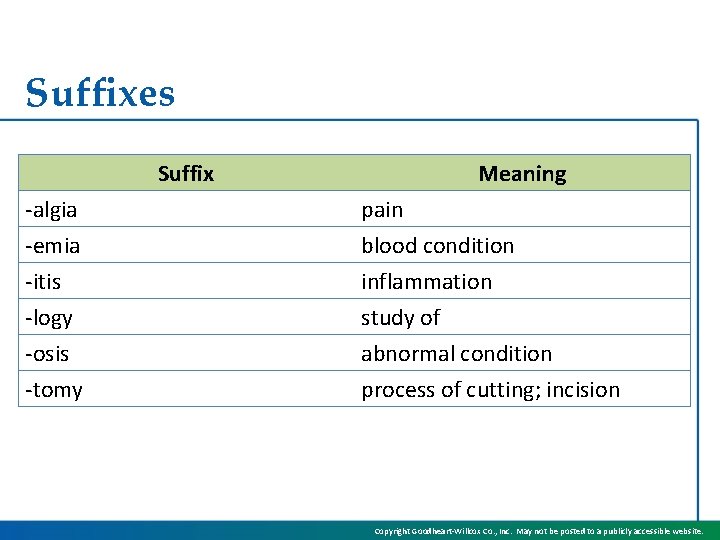 Chapter 1 The Basics and the Body What