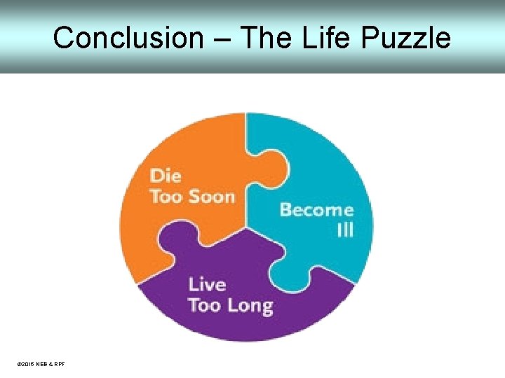 Conclusion – The Life Puzzle © 2015 NEB & RPF 