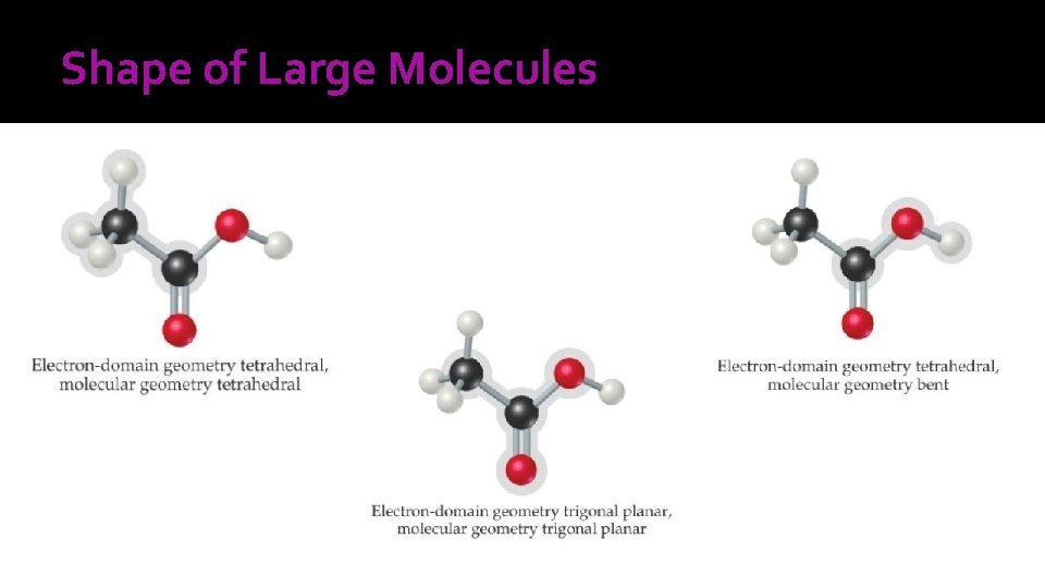 Shape of Large Molecules 