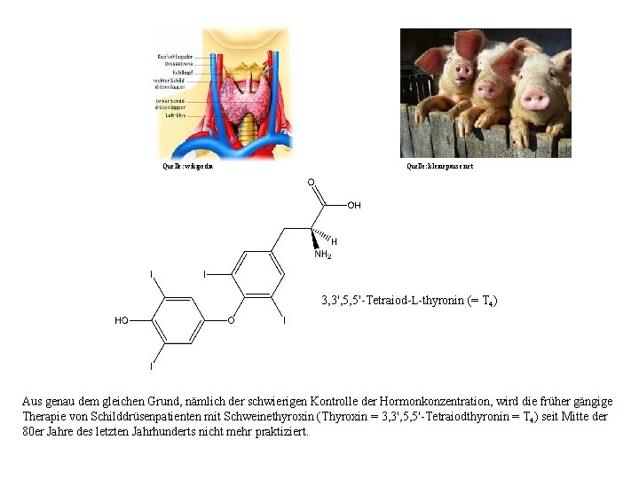 Quelle: wikipedia Quelle: kleinepause. net 3, 3', 5, 5'-Tetraiod-L-thyronin (= T 4) Aus genau