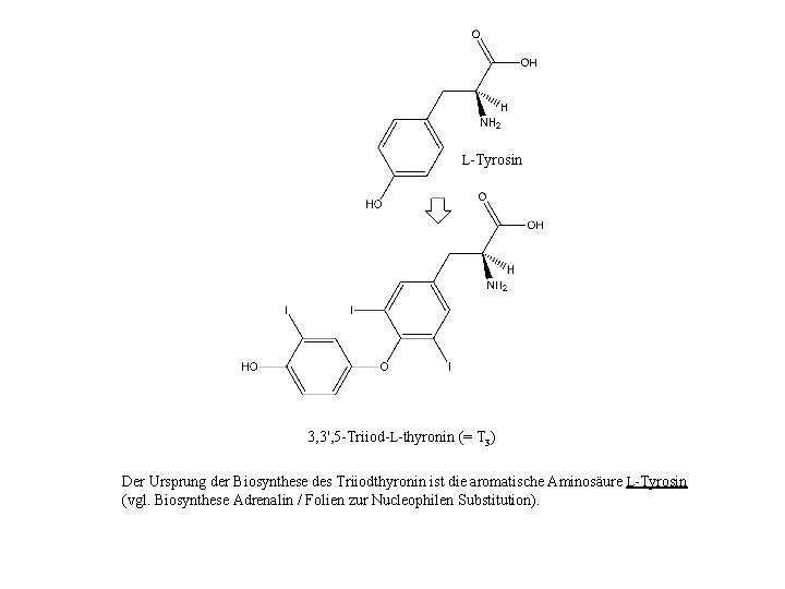 L-Tyrosin 3, 3', 5 -Triiod-L-thyronin (= T 3) Der Ursprung der Biosynthese des Triiodthyronin