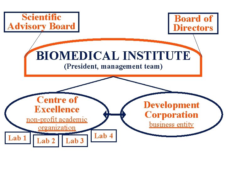 Scientific Advisory Board of Directors BIOMEDICAL INSTITUTE (President, management team) Centre of Excellence non-profit