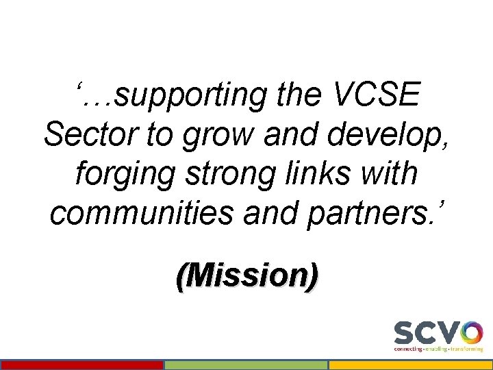 ‘…supporting the VCSE Sector to grow and develop, forging strong links with communities and