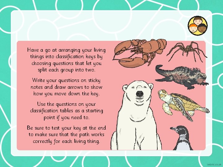 Have a go at arranging your living things into classification keys by choosing questions