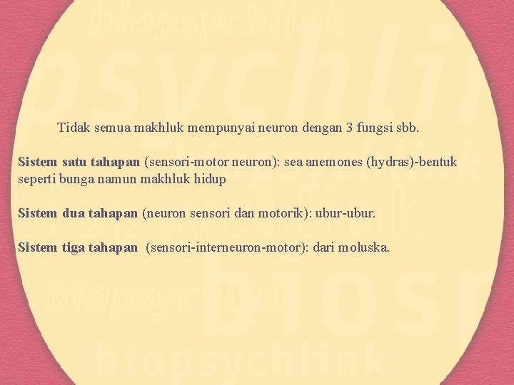 Tidak semua makhluk mempunyai neuron dengan 3 fungsi sbb. Sistem satu tahapan (sensori-motor neuron):