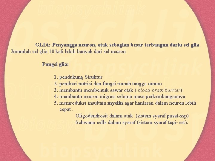 GLIA: Penyangga neuron, otak sebagian besar terbangun dariu sel glia Jmumlah sel glia 10