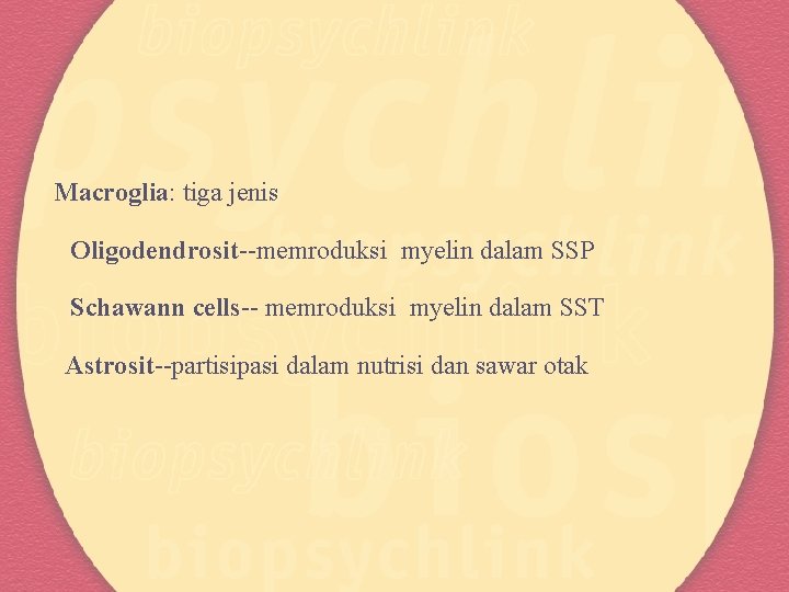 Macroglia: tiga jenis Oligodendrosit--memroduksi myelin dalam SSP Schawann cells-- memroduksi myelin dalam SST Astrosit--partisipasi