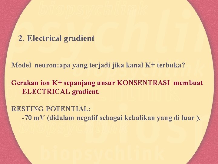 2. Electrical gradient Model neuron: apa yang terjadi jika kanal K+ terbuka? Gerakan ion
