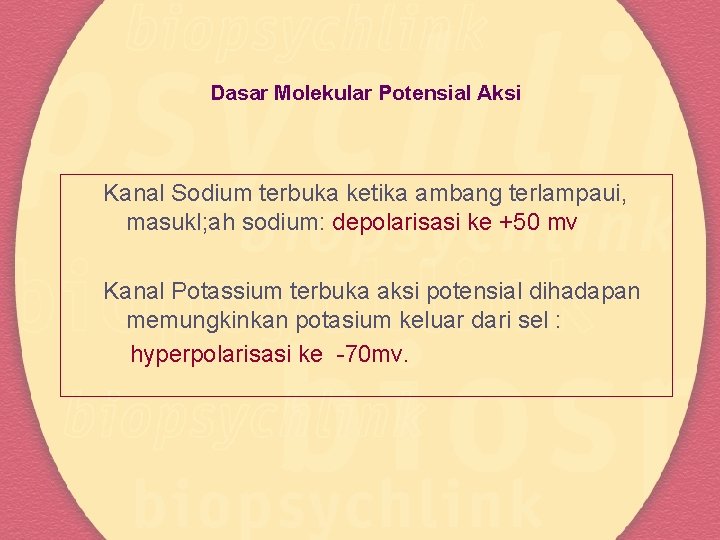 Dasar Molekular Potensial Aksi Kanal Sodium terbuka ketika ambang terlampaui, masukl; ah sodium: depolarisasi