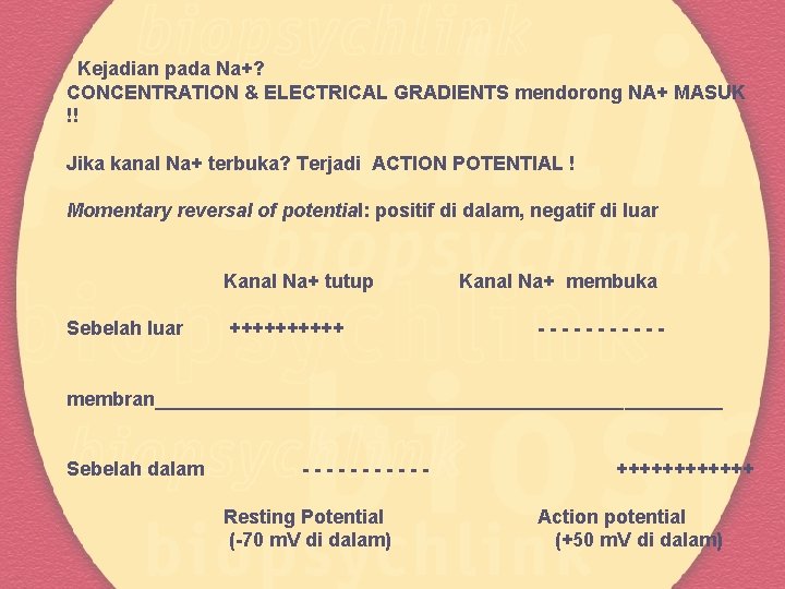 Kejadian pada Na+? CONCENTRATION & ELECTRICAL GRADIENTS mendorong NA+ MASUK !! Jika kanal Na+