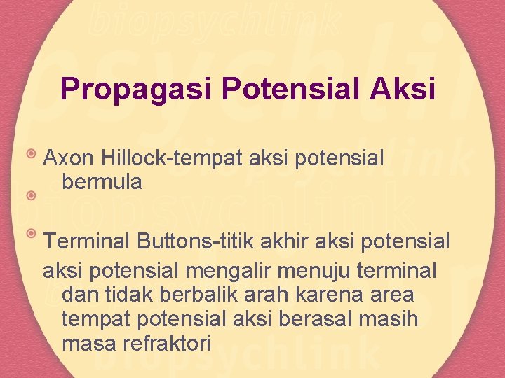 Propagasi Potensial Aksi Axon Hillock-tempat aksi potensial bermula Terminal Buttons-titik akhir aksi potensial mengalir