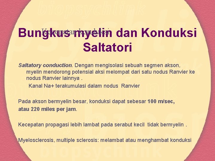 Kecepatanmyelin konduksi dan Konduksi Bungkus Saltatori Saltatory conduction. Dengan mengisolasi sebuah segmen akson, myelin