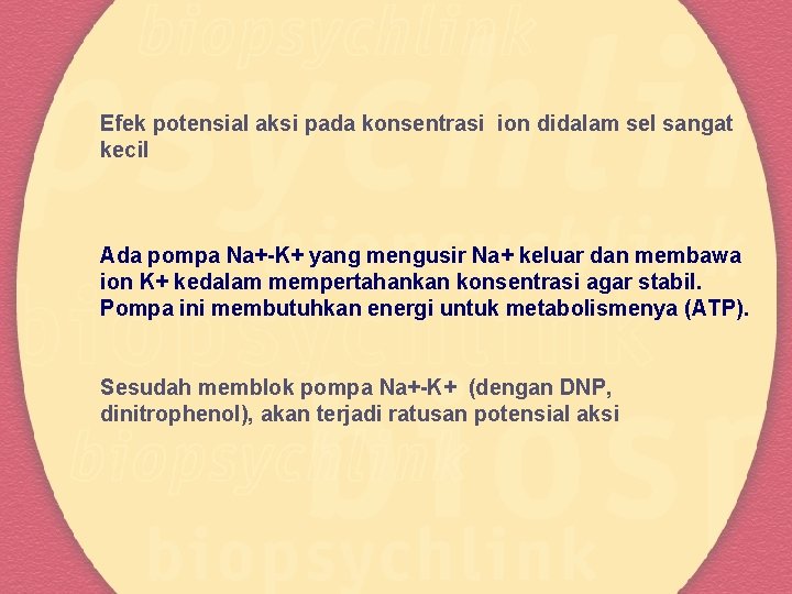 Efek potensial aksi pada konsentrasi ion didalam sel sangat kecil Ada pompa Na+-K+ yang