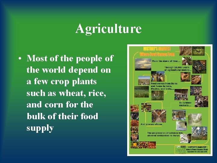 Agriculture • Most of the people of the world depend on a few crop