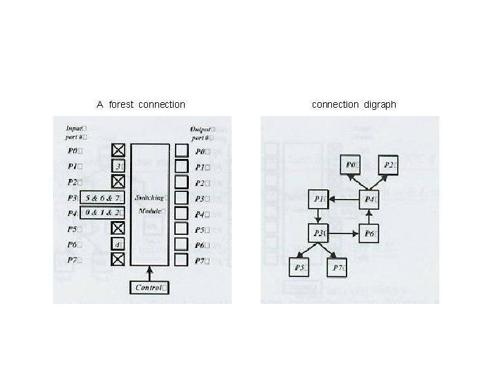 A forest connection digraph 