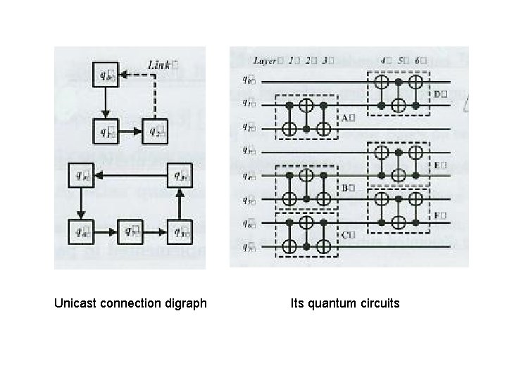 Unicast connection digraph Its quantum circuits 