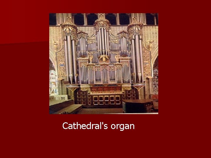 Cathedral's organ 