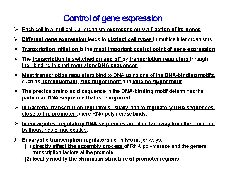 Control of gene expression Each cell in a multicellular organism expresses only a fraction Control of gene expression Each cell in a multicellular organism expresses only a fraction