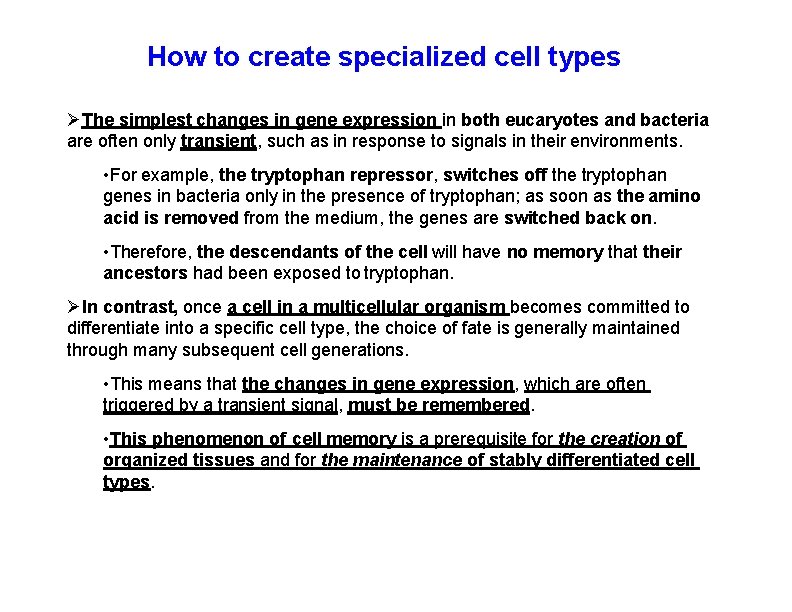 How to create specialized cell types The simplest changes in gene expression in both How to create specialized cell types The simplest changes in gene expression in both