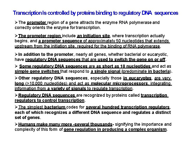 Transcription Is controlled by proteins binding to regulatory DNA sequences The promoter region of Transcription Is controlled by proteins binding to regulatory DNA sequences The promoter region of