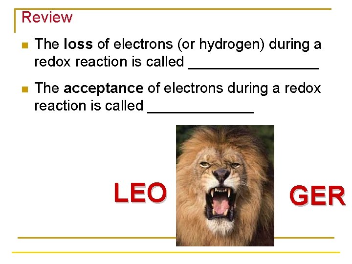 Review n The loss of electrons (or hydrogen) during a redox reaction is called