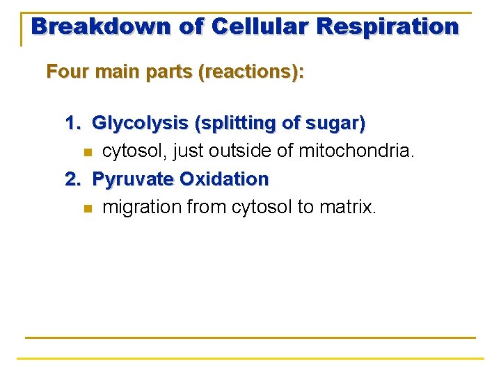 Breakdown of Cellular Respiration Four main parts (reactions): 1. Glycolysis (splitting of sugar) n
