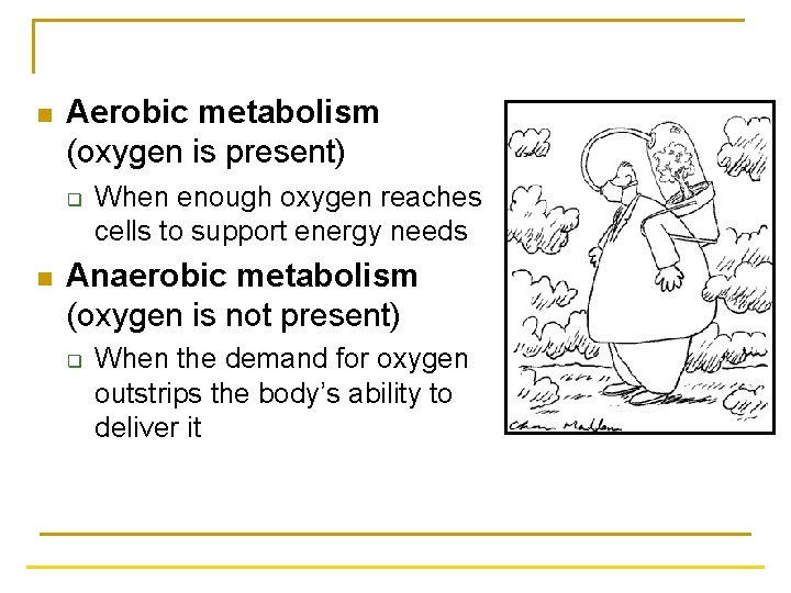 n Aerobic metabolism (oxygen is present) q n When enough oxygen reaches cells to