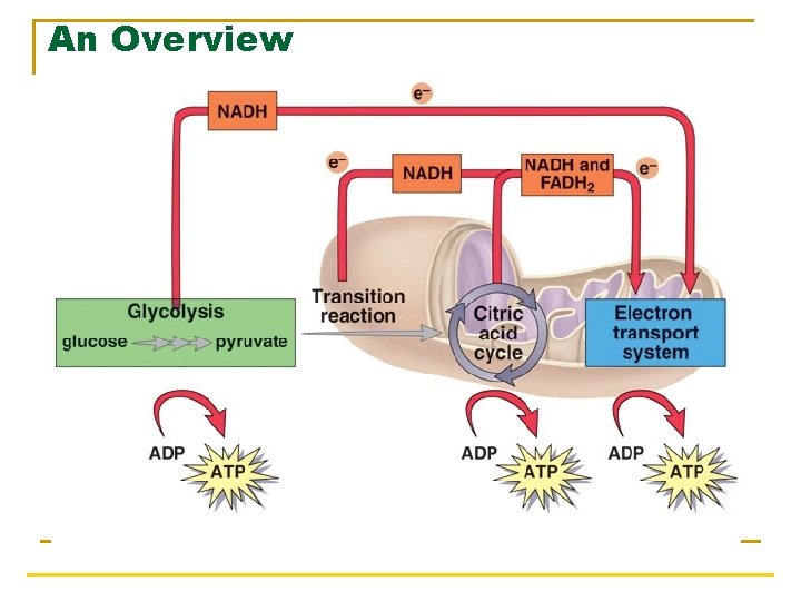 An Overview 