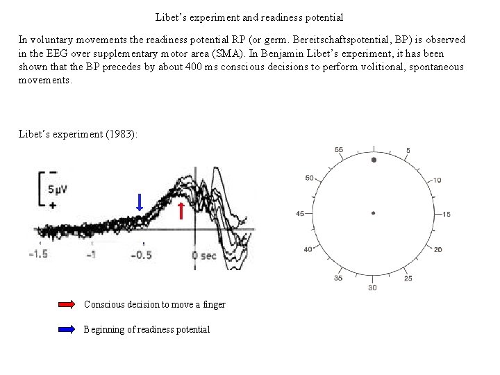 Libet’s experiment and readiness potential In voluntary movements the readiness potential RP (or germ.