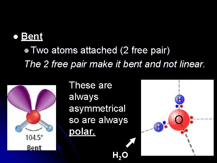 l Bent l Two atoms attached (2 free pair) The 2 free pair make