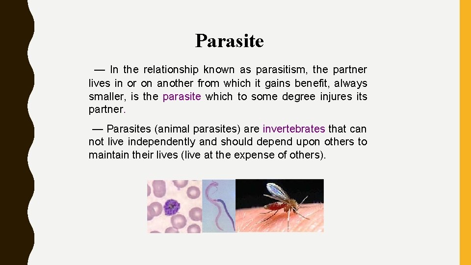Parasite — In the relationship known as parasitism, the partner lives in or on