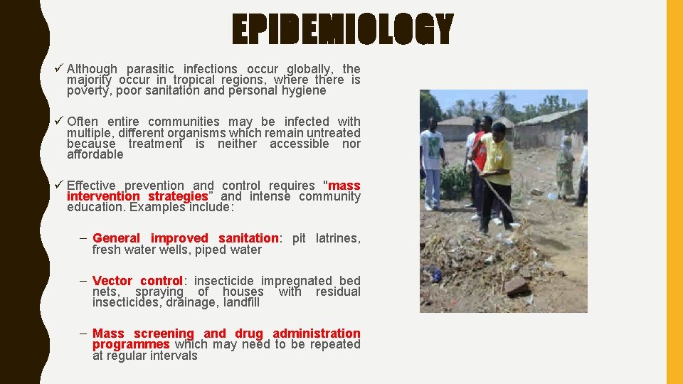 EPIDEMIOLOGY ü Although parasitic infections occur globally, the majority occur in tropical regions, where