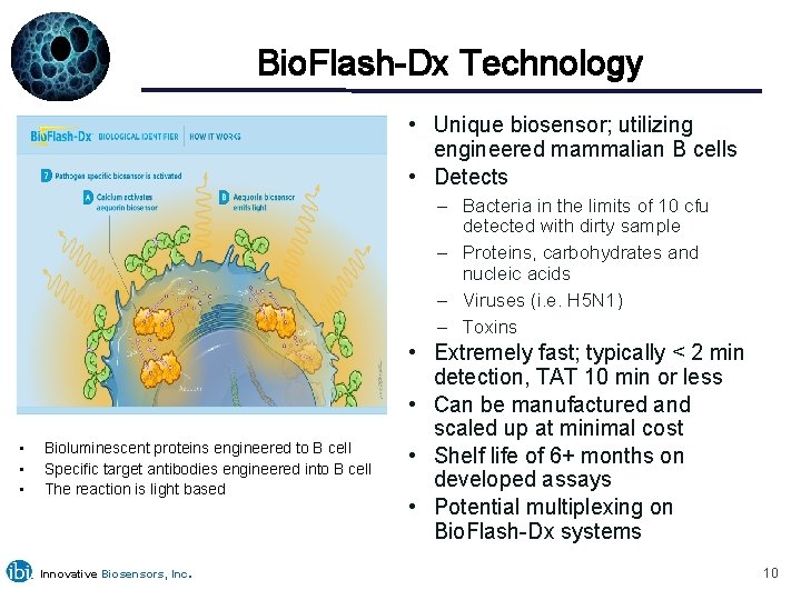 Bio. Flash-Dx Technology • Unique biosensor; utilizing engineered mammalian B cells • Detects –