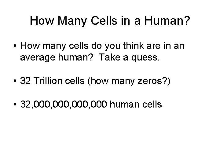 How Many Cells in a Human? • How many cells do you think are