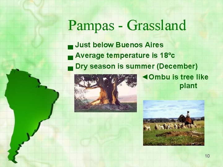 Pampas - Grassland ▄ Just below Buenos Aires ▄ Average temperature is 18°c ▄