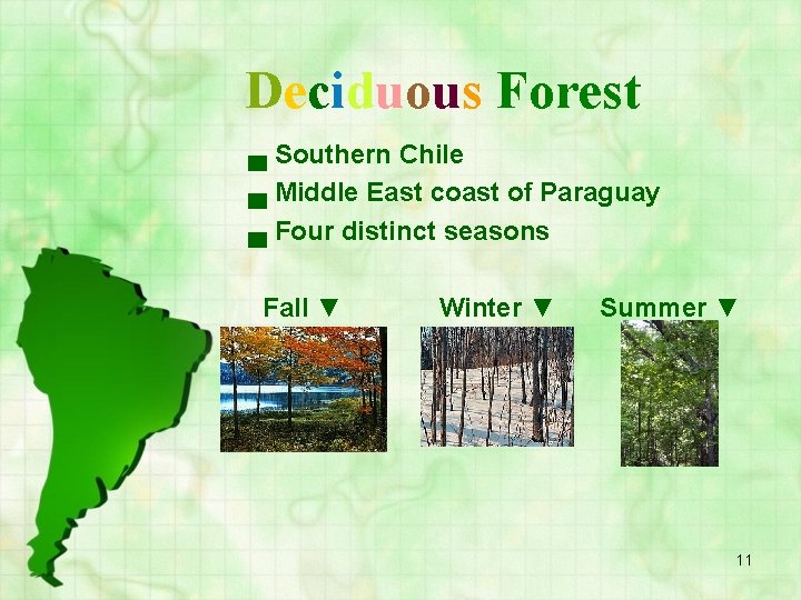 Deciduous Forest ▄ Southern Chile ▄ Middle East coast of Paraguay ▄ Four distinct