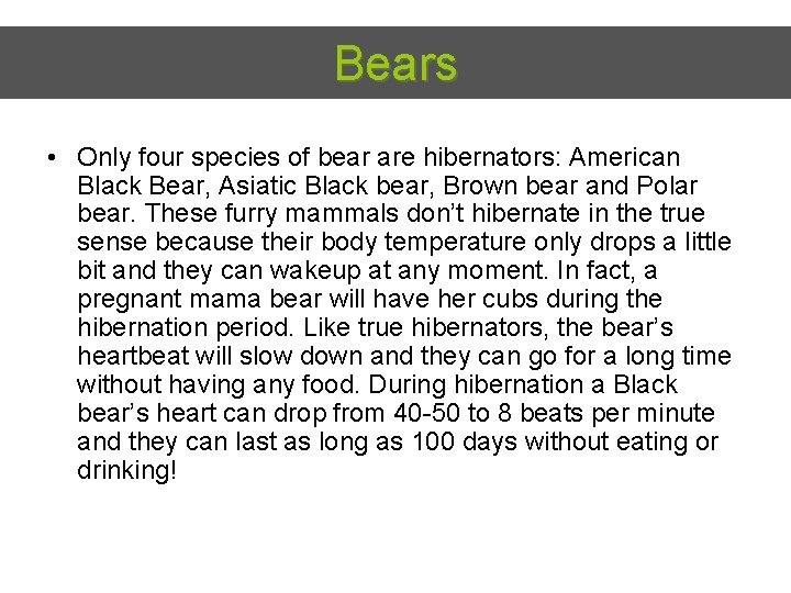 Bears • Only four species of bear are hibernators: American Black Bear, Asiatic Black