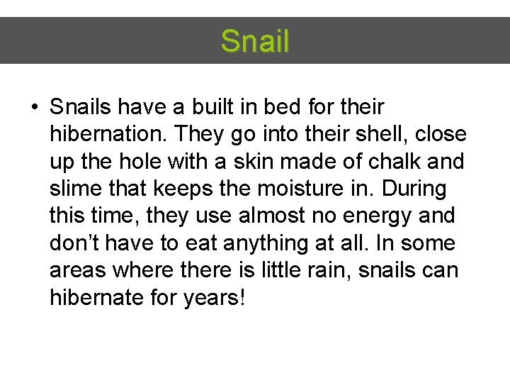 Snail • Snails have a built in bed for their hibernation. They go into