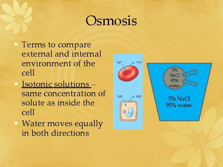 Osmosis • Terms to compare external and internal environment of the cell • Isotonic