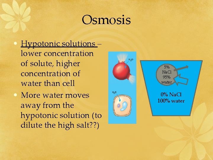 Osmosis • Hypotonic solutions – lower concentration of solute, higher concentration of water than