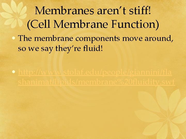 Membranes aren’t stiff! (Cell Membrane Function) • The membrane components move around, so we