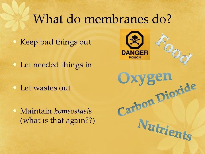What do membranes do? • Keep bad things out • Let needed things in