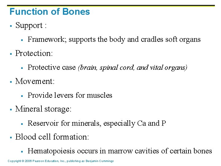 Function of Bones § Support : § § Protection: § § Provide levers for