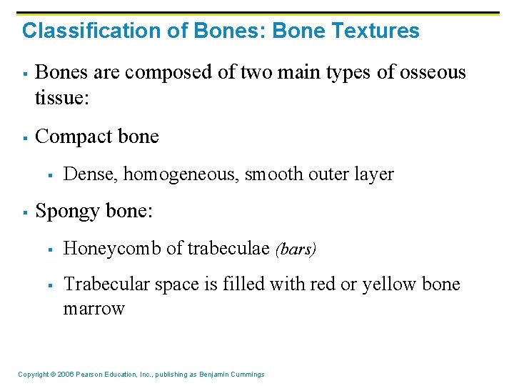 Classification of Bones: Bone Textures § § Bones are composed of two main types