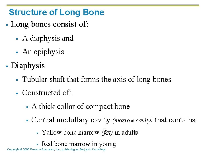 Structure of Long Bone § Long bones consist of: § § A diaphysis and