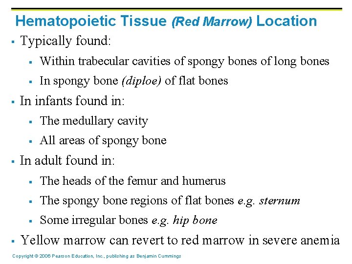 Hematopoietic Tissue (Red Marrow) Location § § Typically found: § Within trabecular cavities of