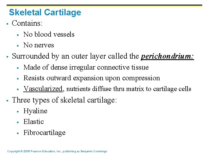 Skeletal Cartilage § Contains: § § § Surrounded by an outer layer called the