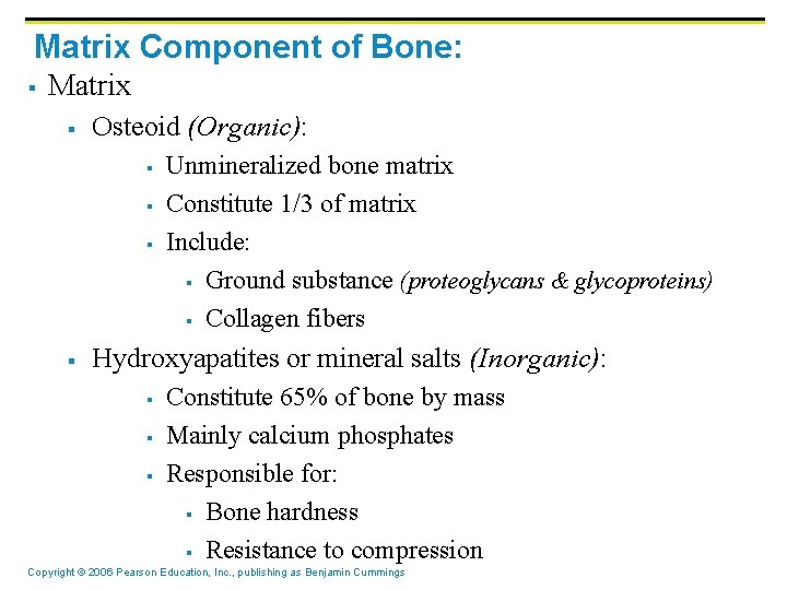 Matrix Component of Bone: § Matrix § Osteoid (Organic): § § Unmineralized bone matrix