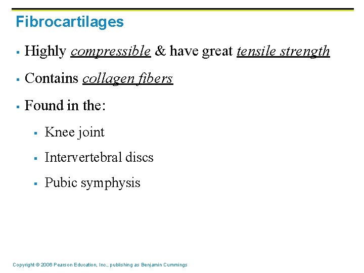 Fibrocartilages § Highly compressible & have great tensile strength § Contains collagen fibers §